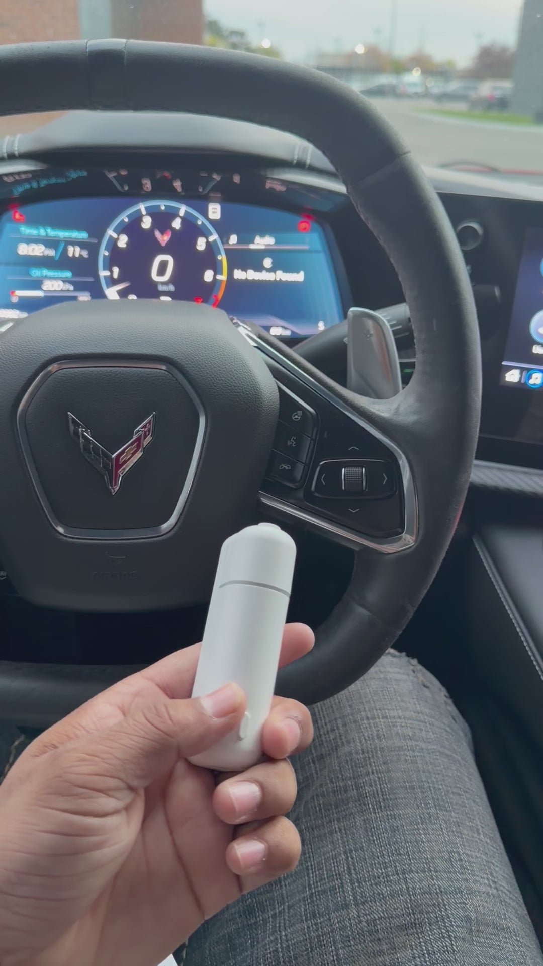 Car diffuser